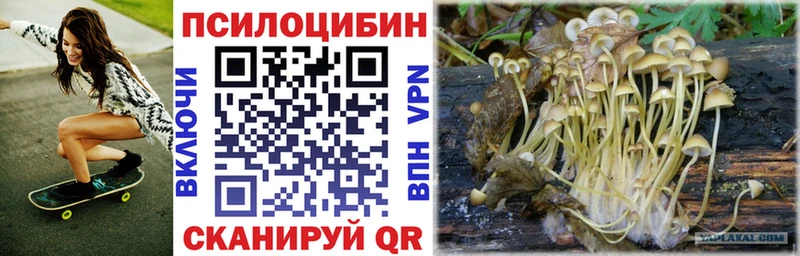 Галлюциногенные грибы ЛСД  Бирюсинск 