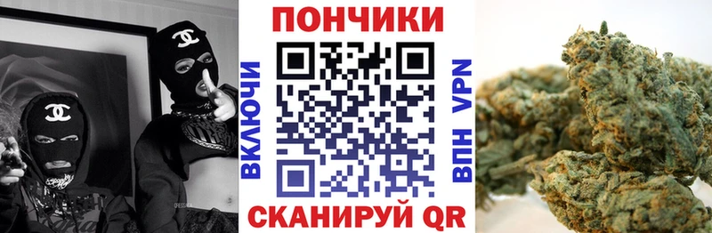 где купить наркоту  Бирюсинск  гидра вход  Марихуана ГИДРОПОН 